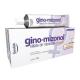 GINO-MIZONOL 20MG/G CREME VAGINAL COM 80G E 14 APLICADORES